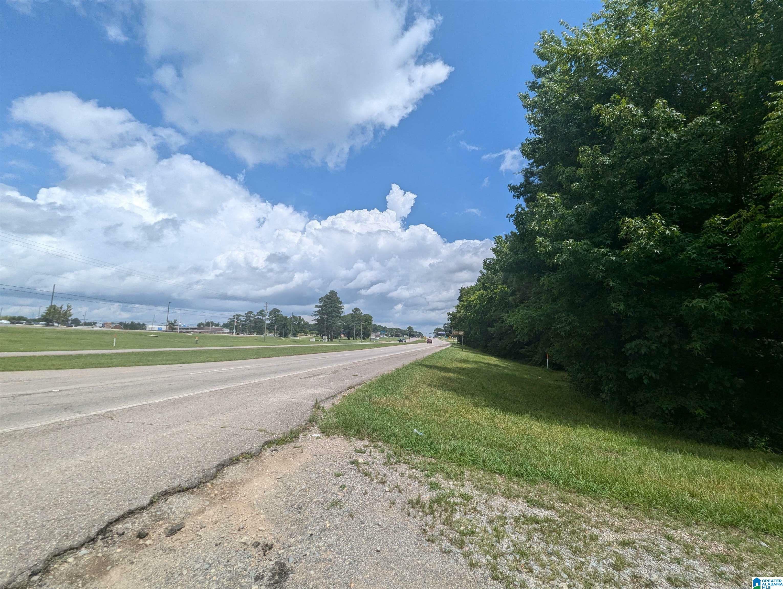 Property Photo:  0 (1.46 Acres) Highway 21 0  AL 36265 