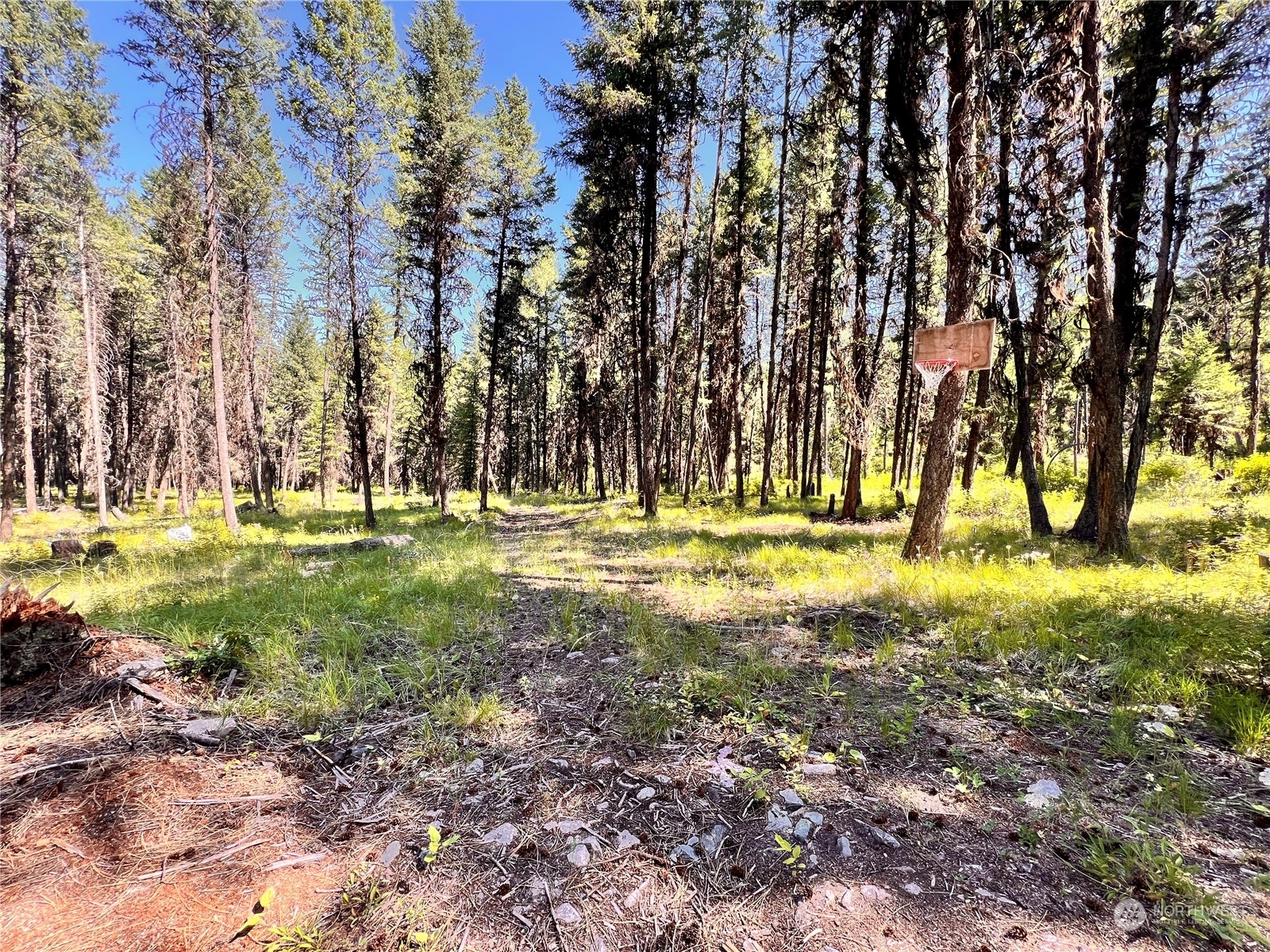 Property Photo:  40 Excelsior Way  WA 99118 