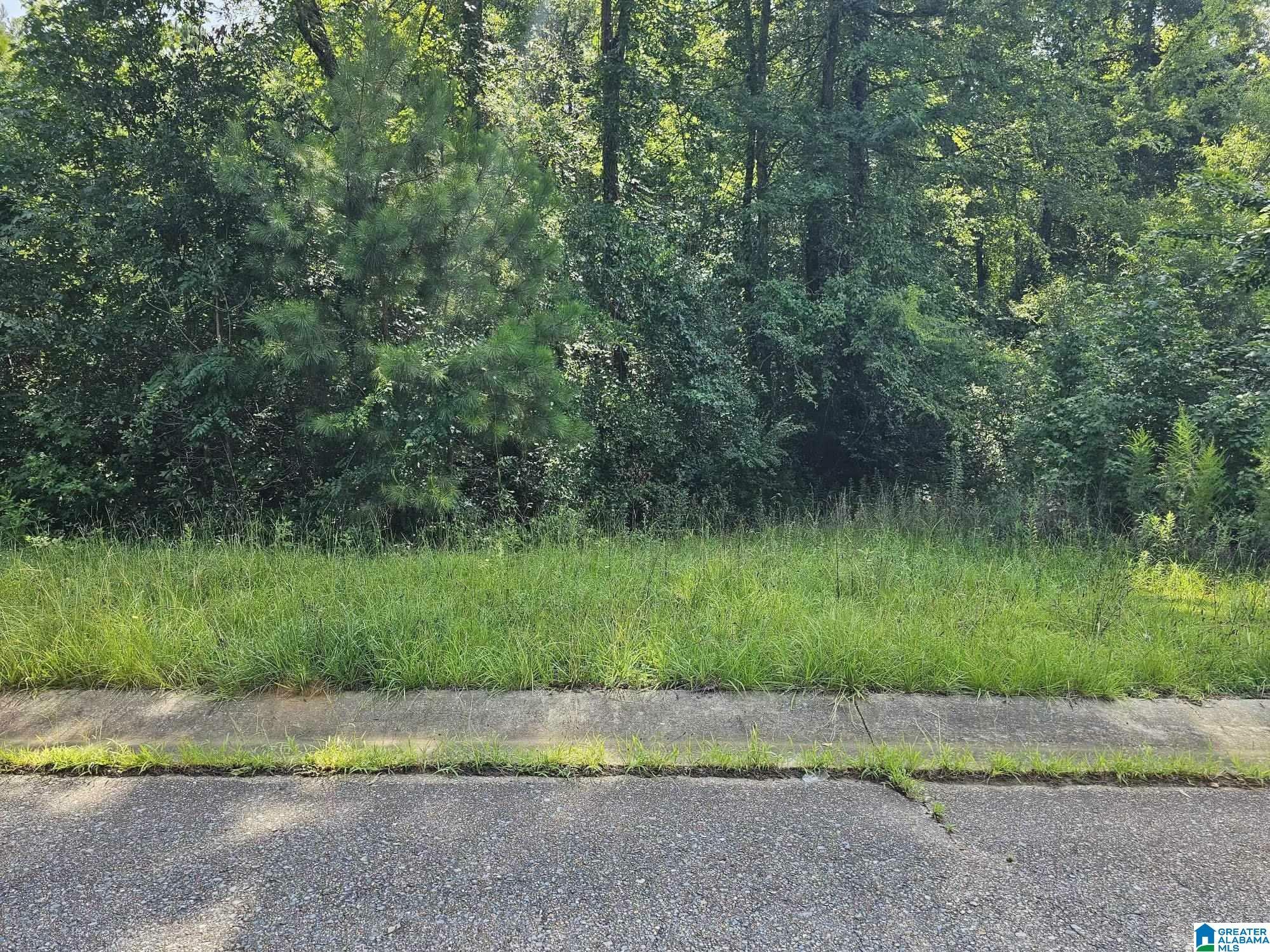 Property Photo:  Lot 14 Woodhaven Drive 14  AL 35128 