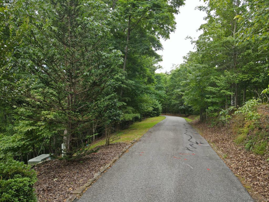 Lot 114 Croft Mountain Road  Blairsville GA 30512 photo