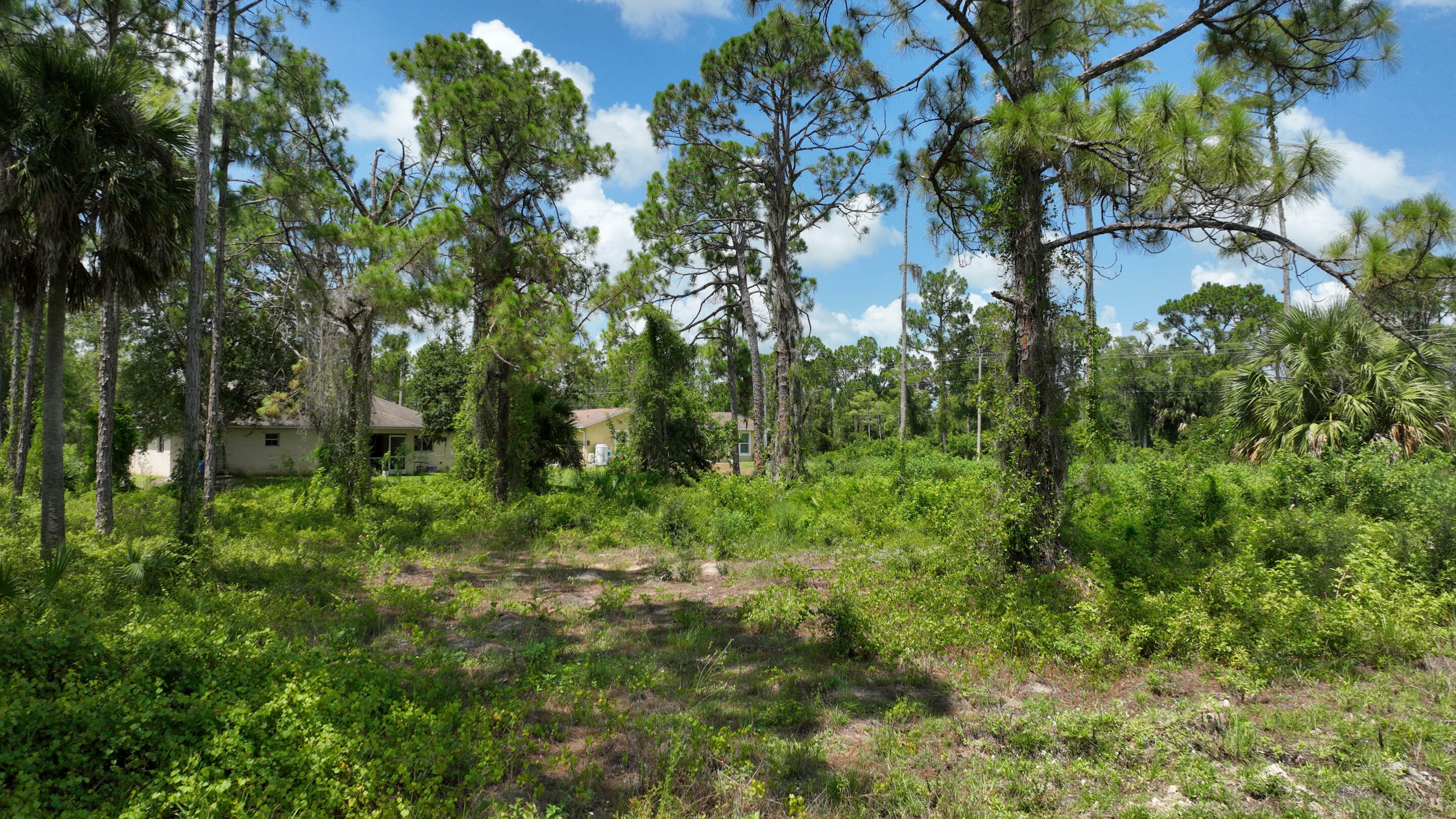 Property Photo:  708 Newell Street E  FL 33974 