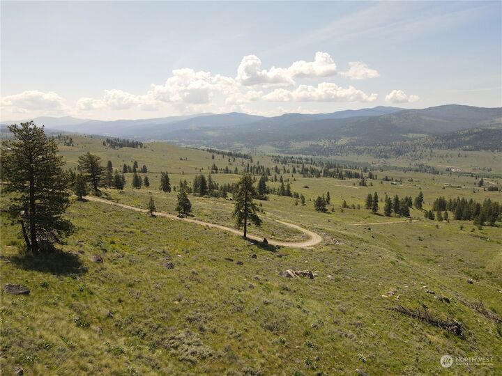 Property Photo:  0 Xx E Cayuse Mountain Road  WA 98855 