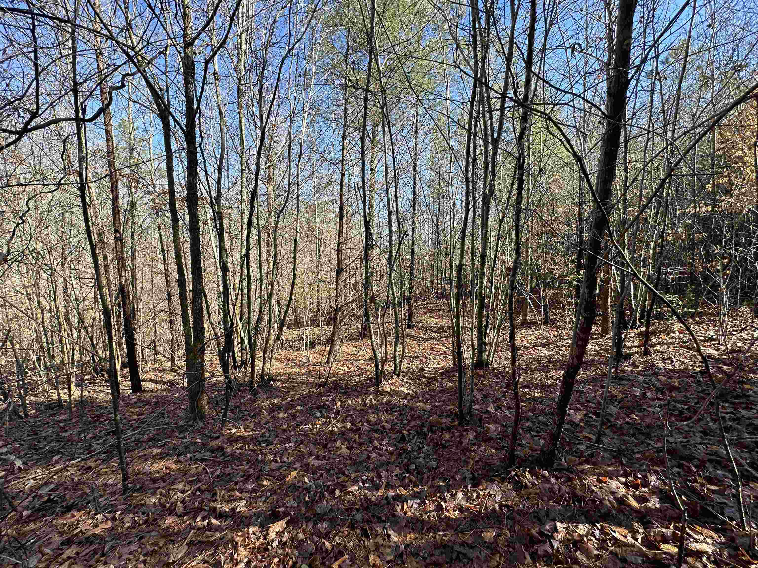 Property Photo: 0 Plantation Trail SC 29372
