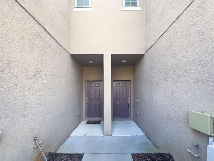Property Photo: 4830 White Sanderling Court FL 33619