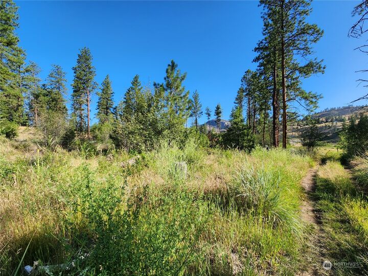 Property Photo:  422 Swanson Mill Road  WA 98844 