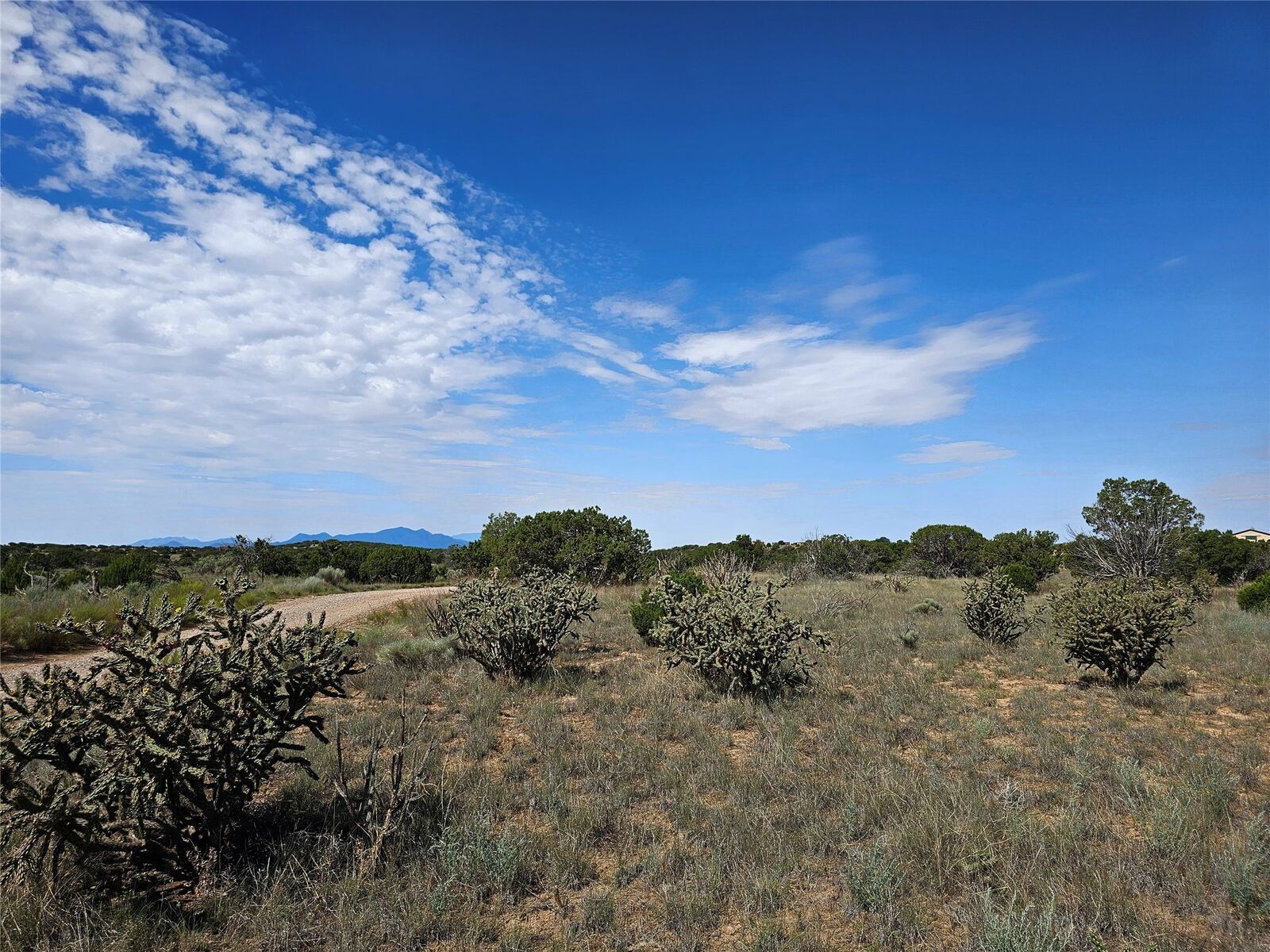 Property Photo: 251 Spur Ranch Road NM 87540