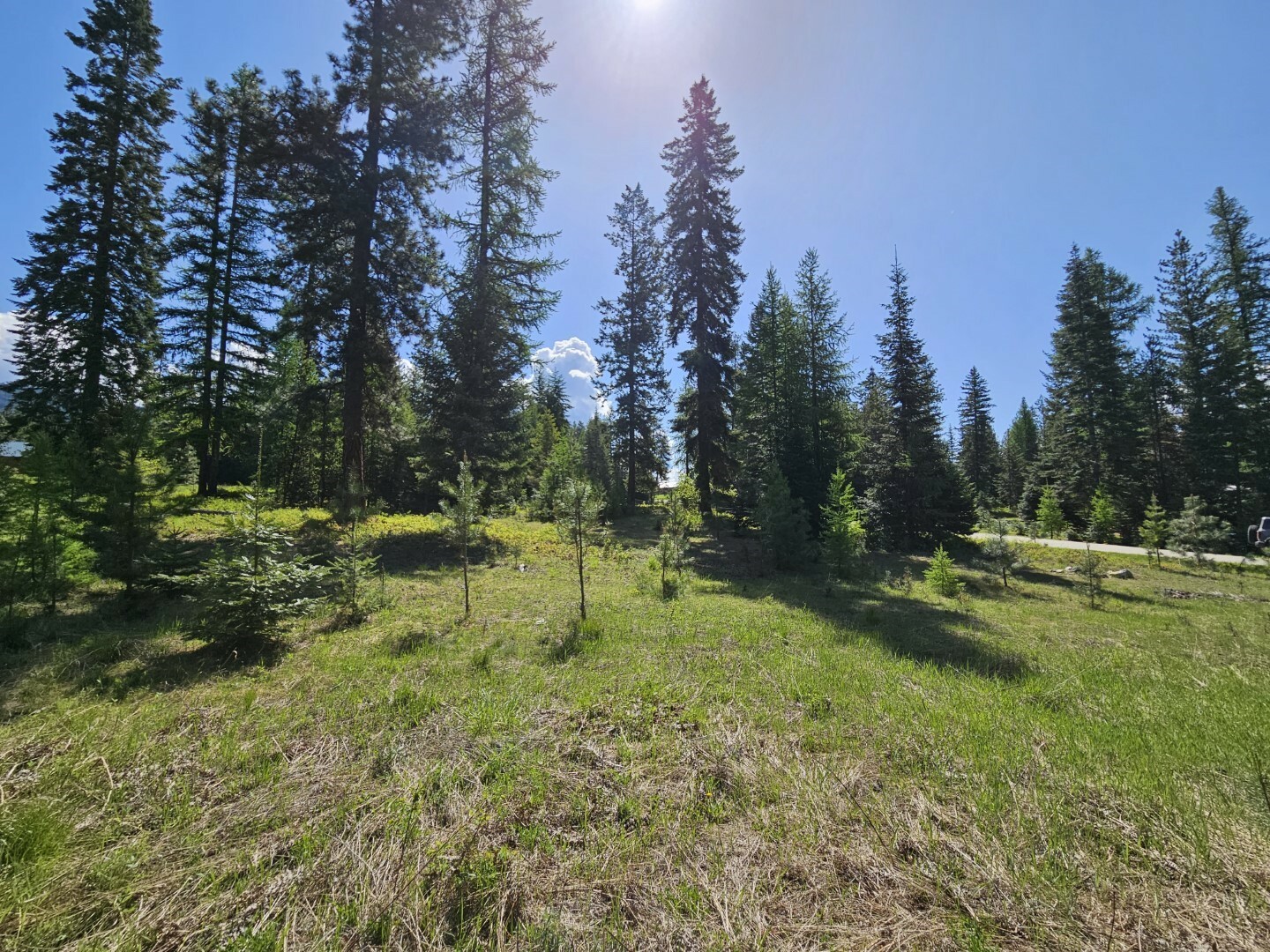 Property Photo:  Lot 11 Old Mill Way  MT 59874 