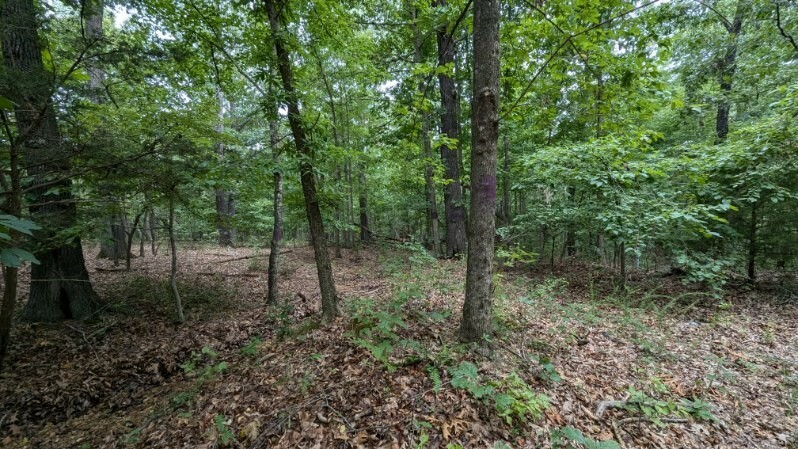 Property Photo:  Tbd Linfield Lane  AR 72715 