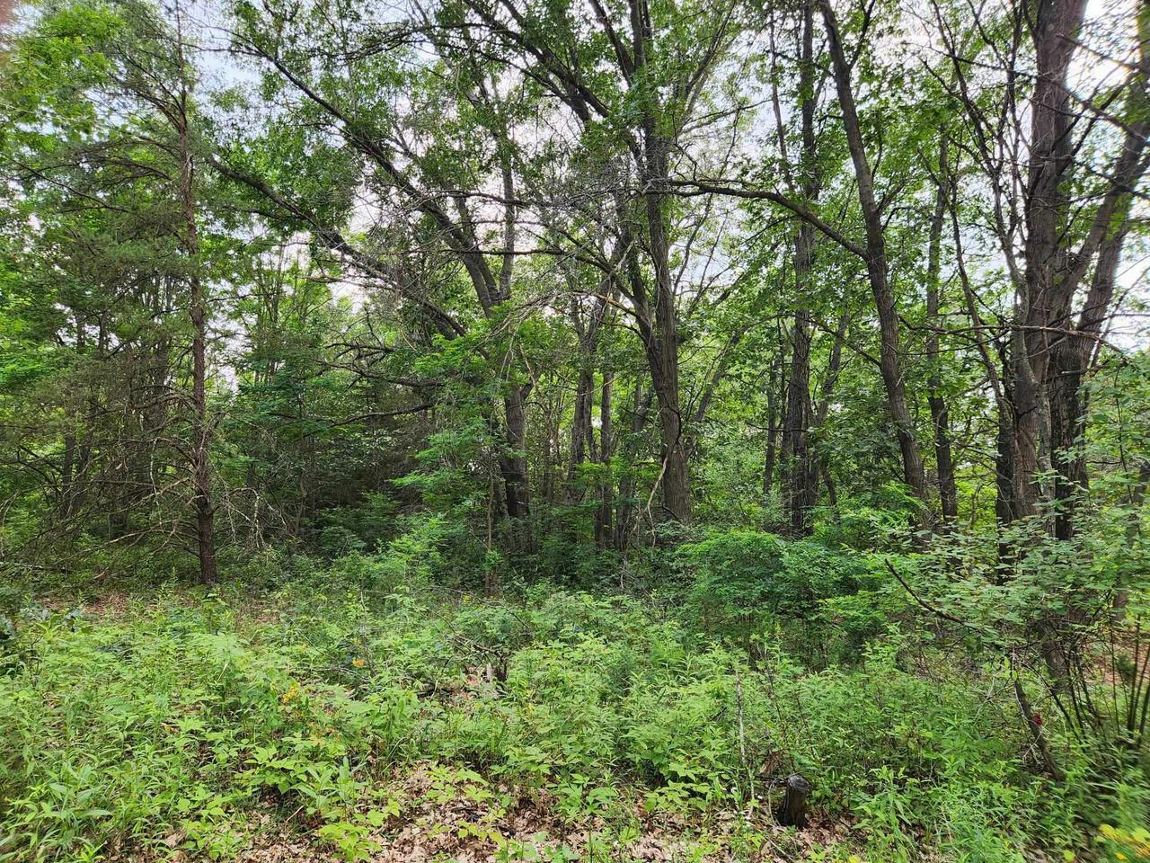 Property Photo:  1.5 Ac Prairie View Lane  WI 53948 