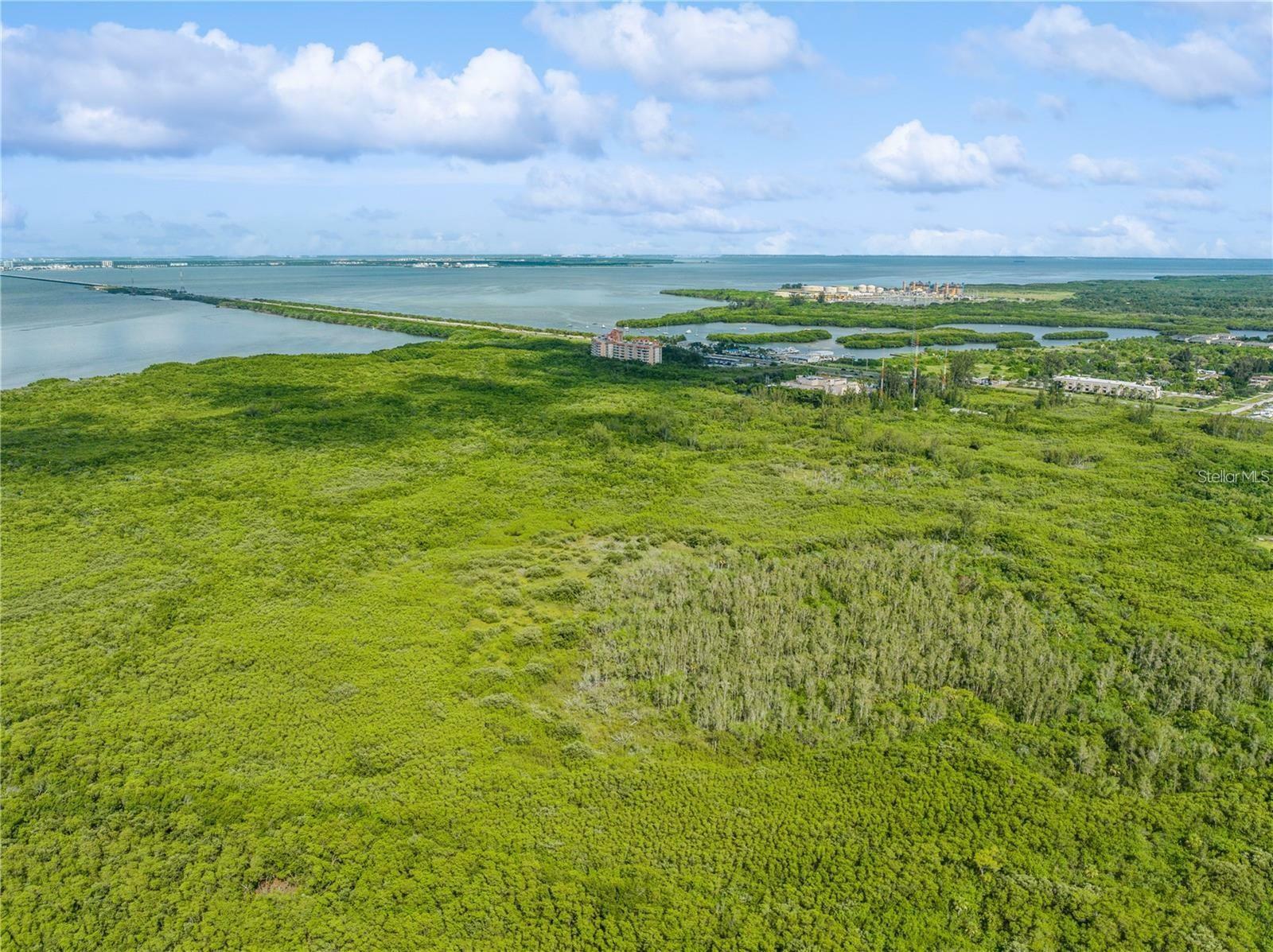 Property Photo:  Mangrove Cay Lane NE  FL 33716 