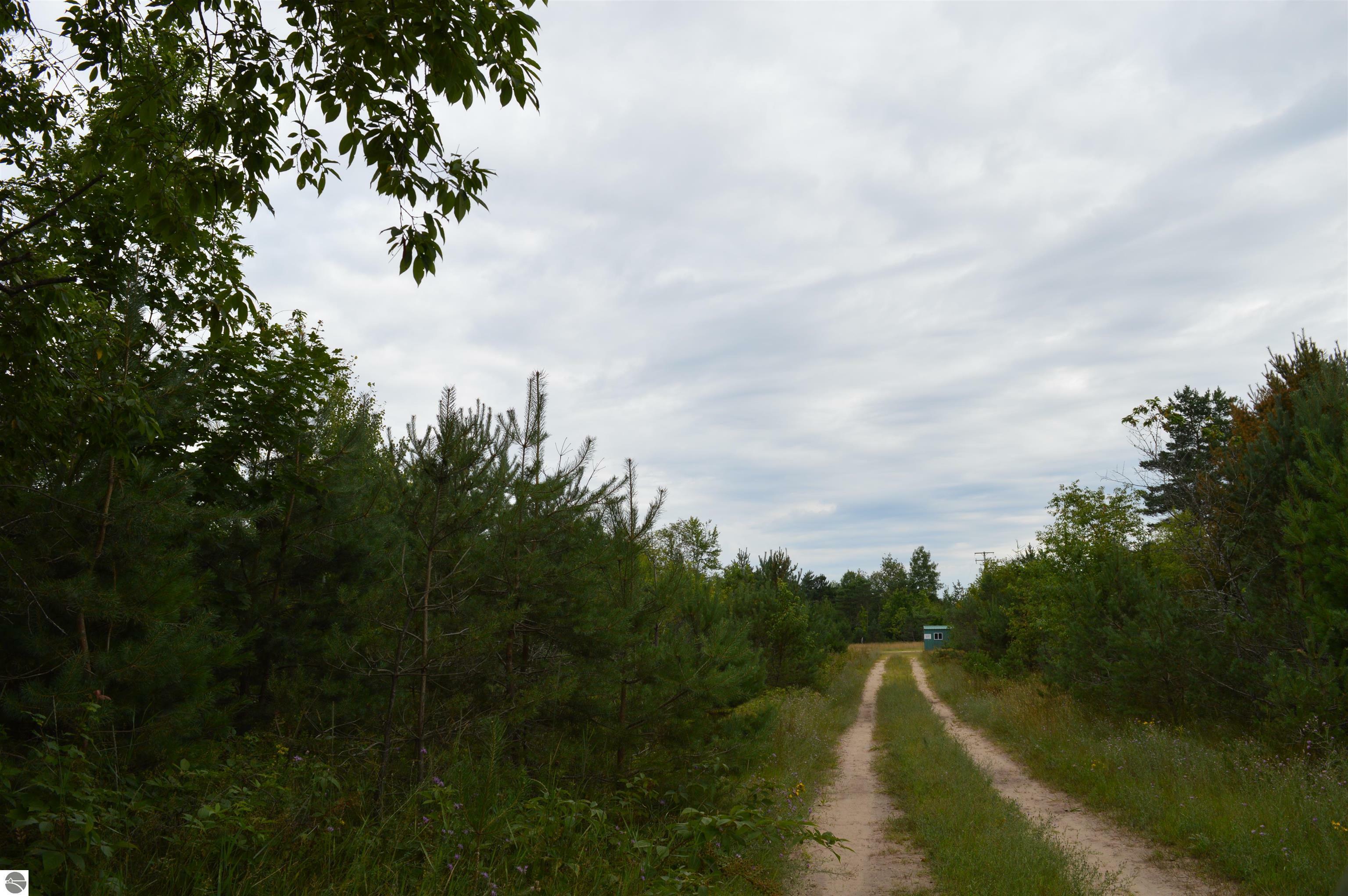 Property Photo:  00 County Line Road  MI 49659 