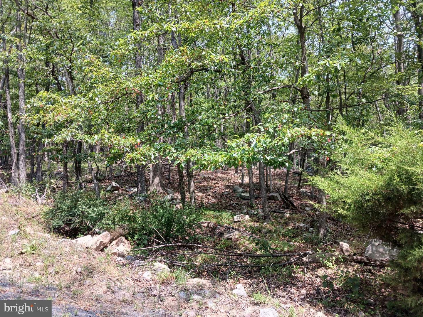 Property Photo:  Lot 11 Pendragon Court  WV 25434 