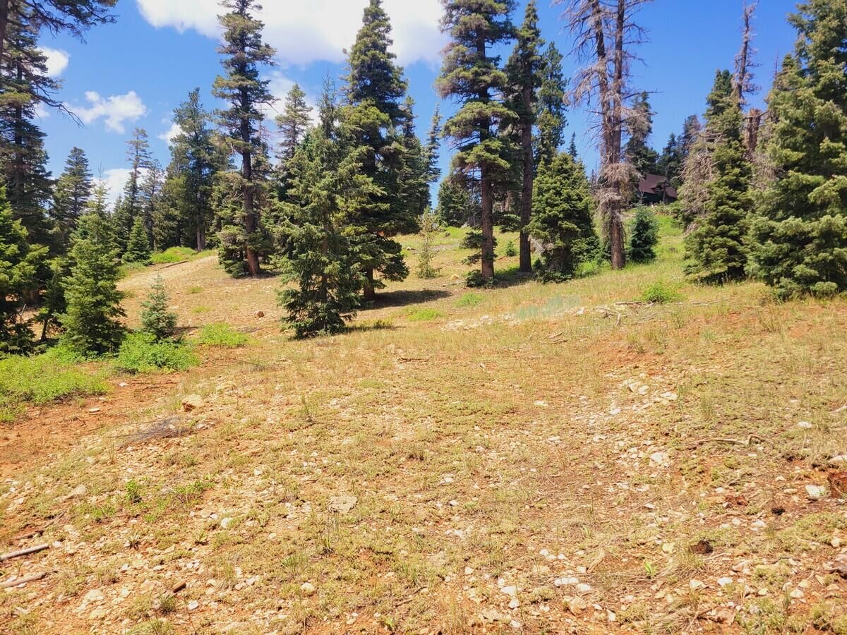 Property Photo:  6140&6150 W Park Dr  UT 84762 