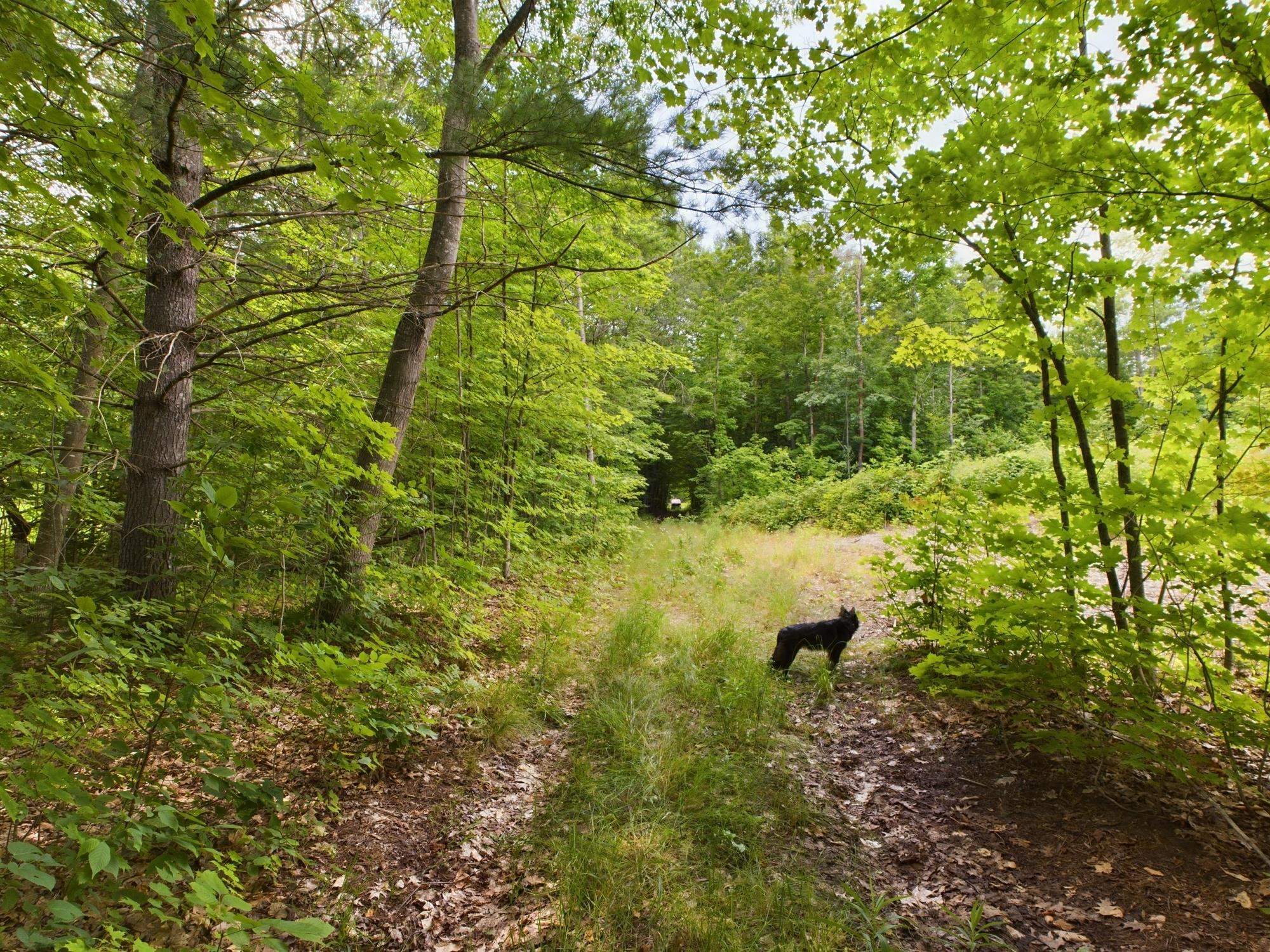 Property Photo:  0 Reynolds  MI 49643 