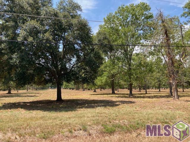 Property Photo: 14169 A Poirrier Rd LA 70737