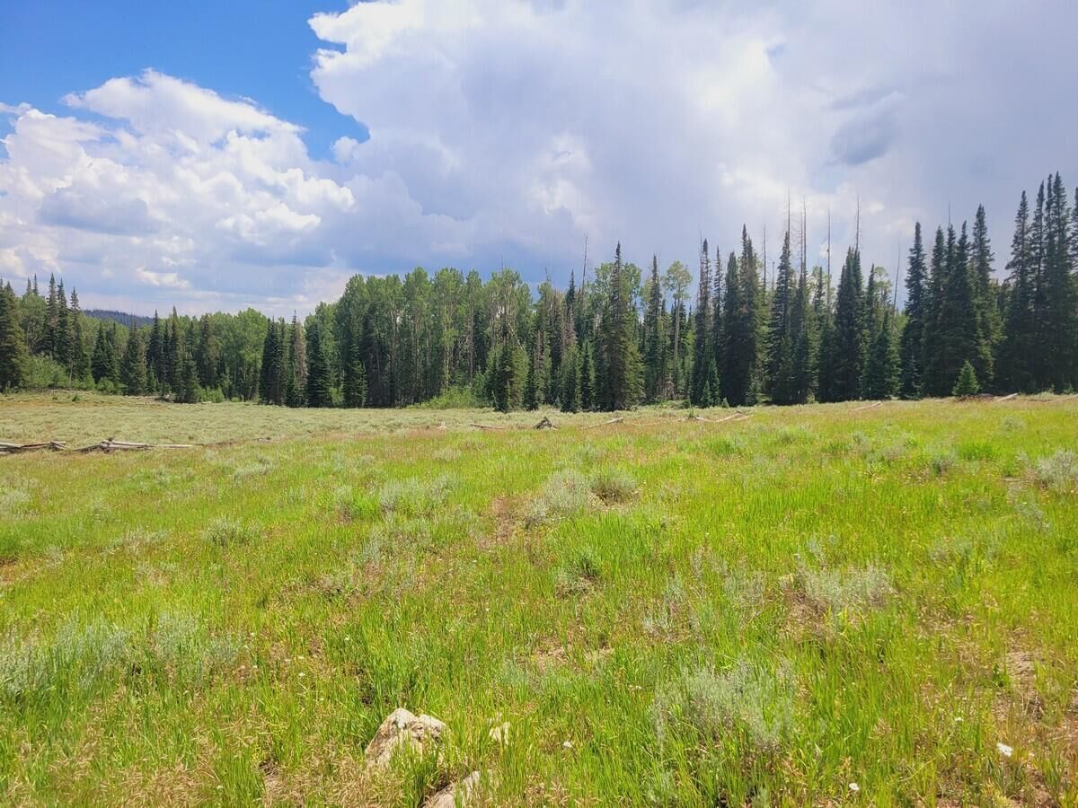 Property Photo: Lot 13 Rainbow Meadows Un D UT 84719