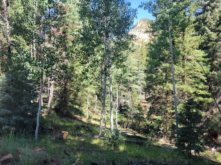 Property Photo:  Lot 26 Sequoia Dr  UT 84762