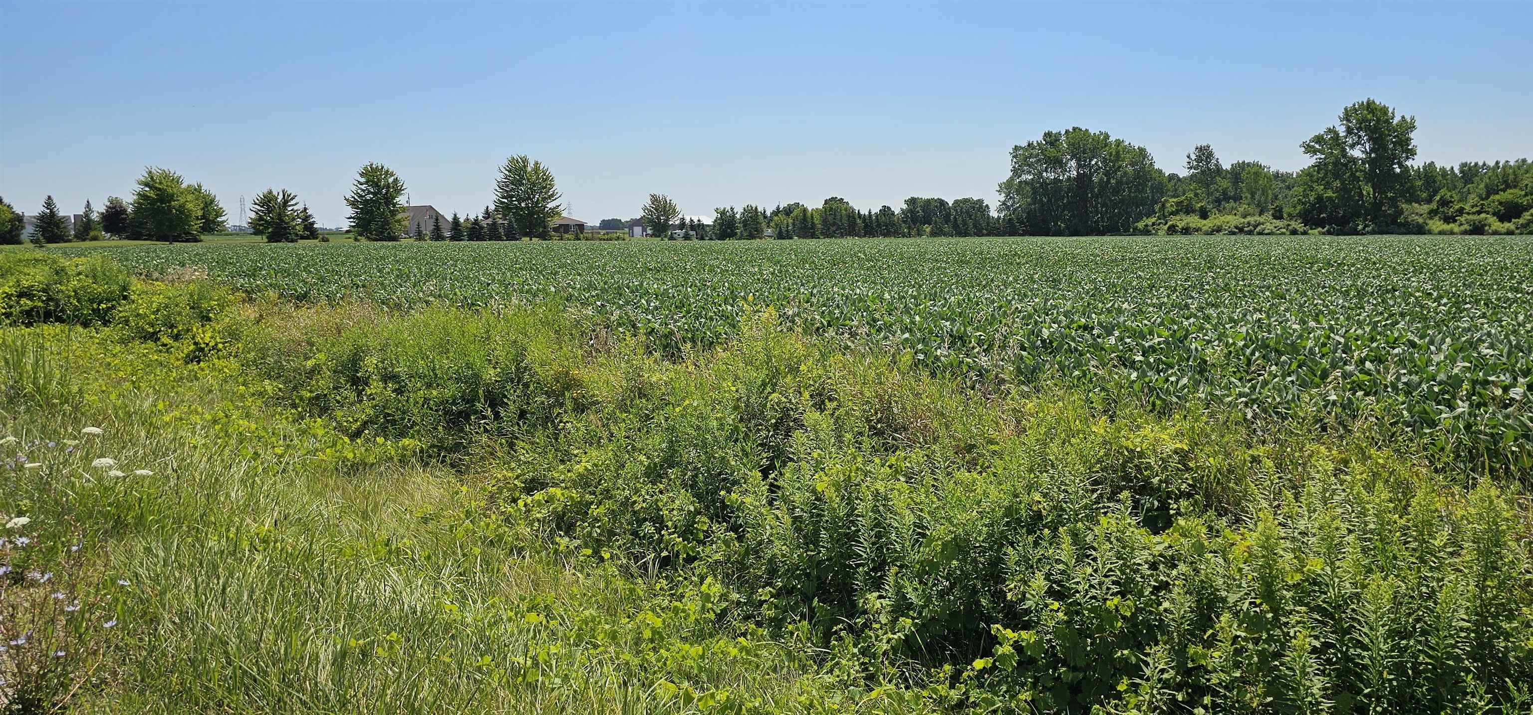 Property Photo:  0 W German Rd. Roads  MI 48708 