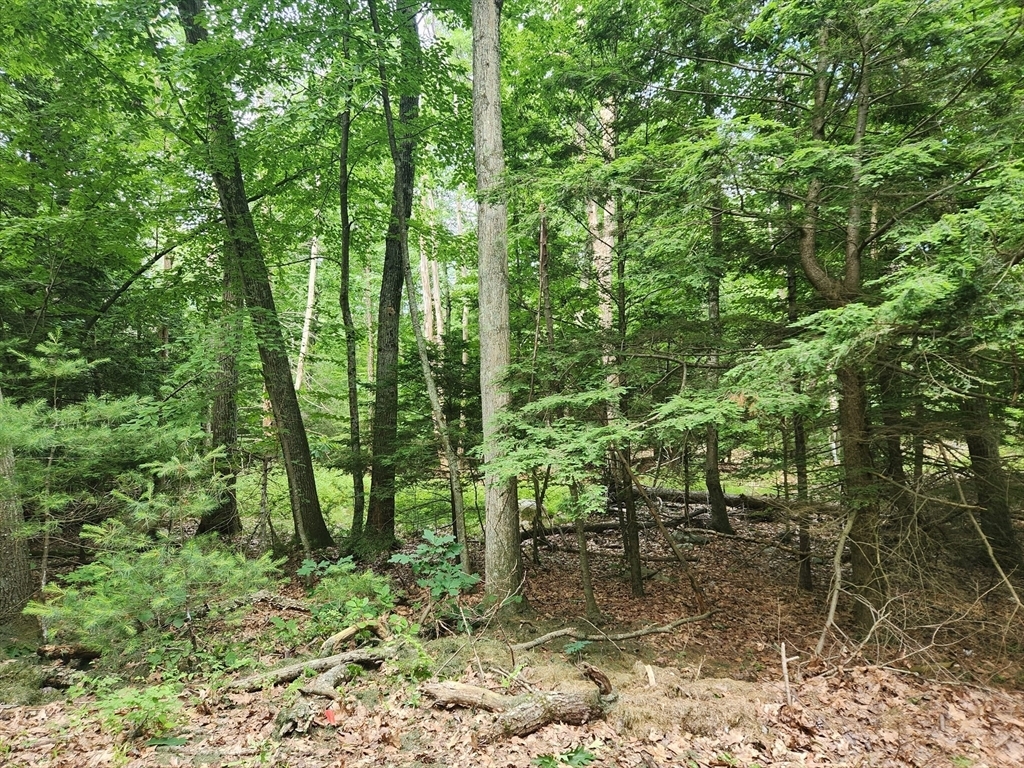 Property Photo:  Lot 4 Greenwood Street  MA 01770 