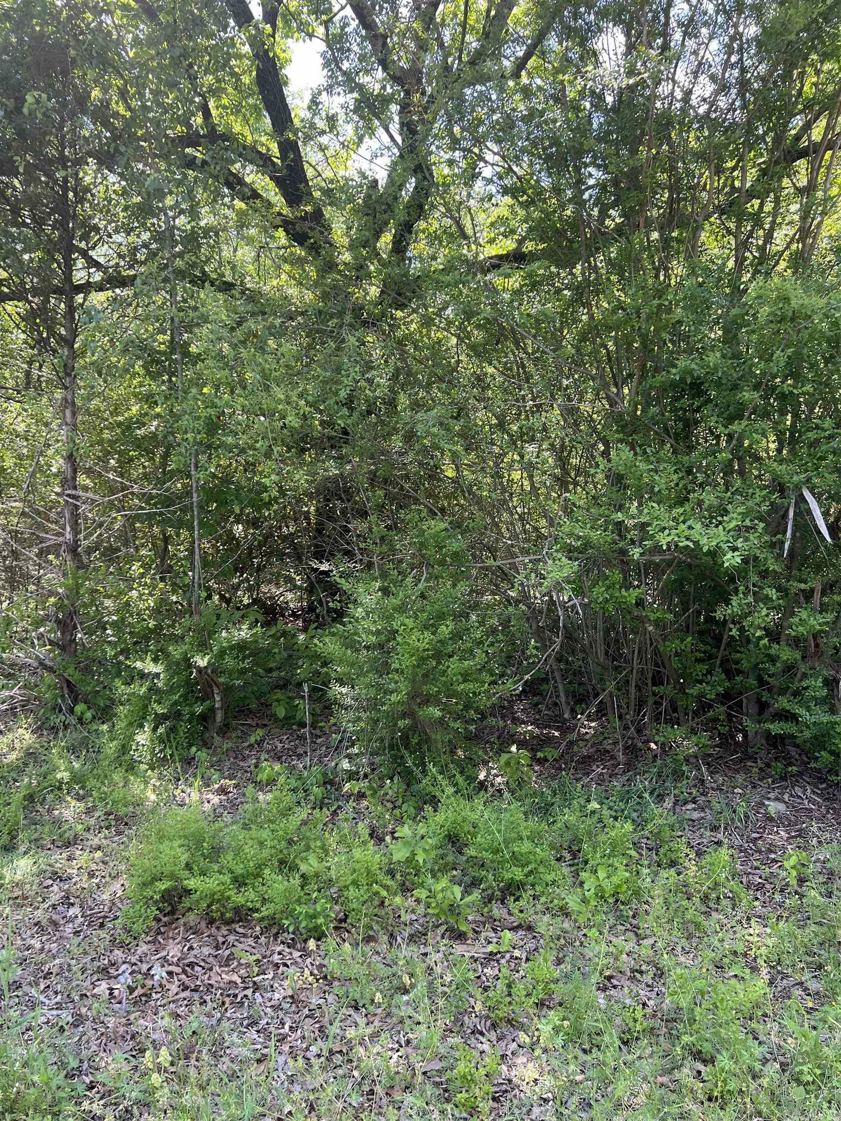 Property Photo:  508 N Center  AR 72543 