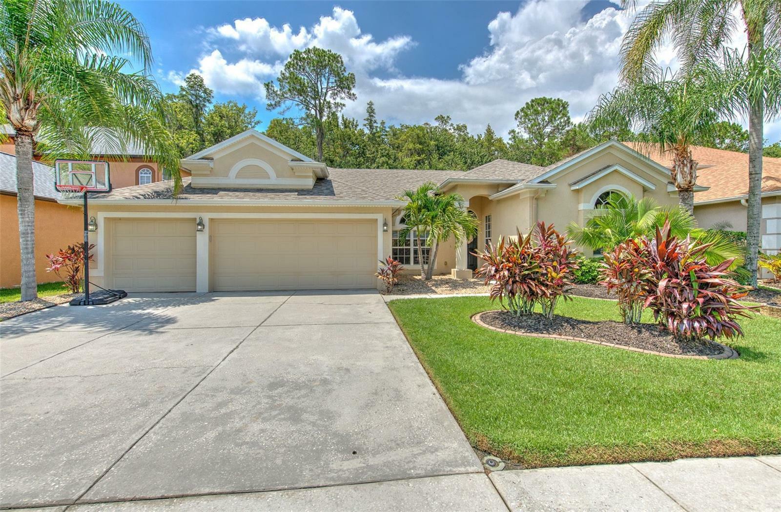 Property Photo:  3445 Loggerhead Way  FL 33544 