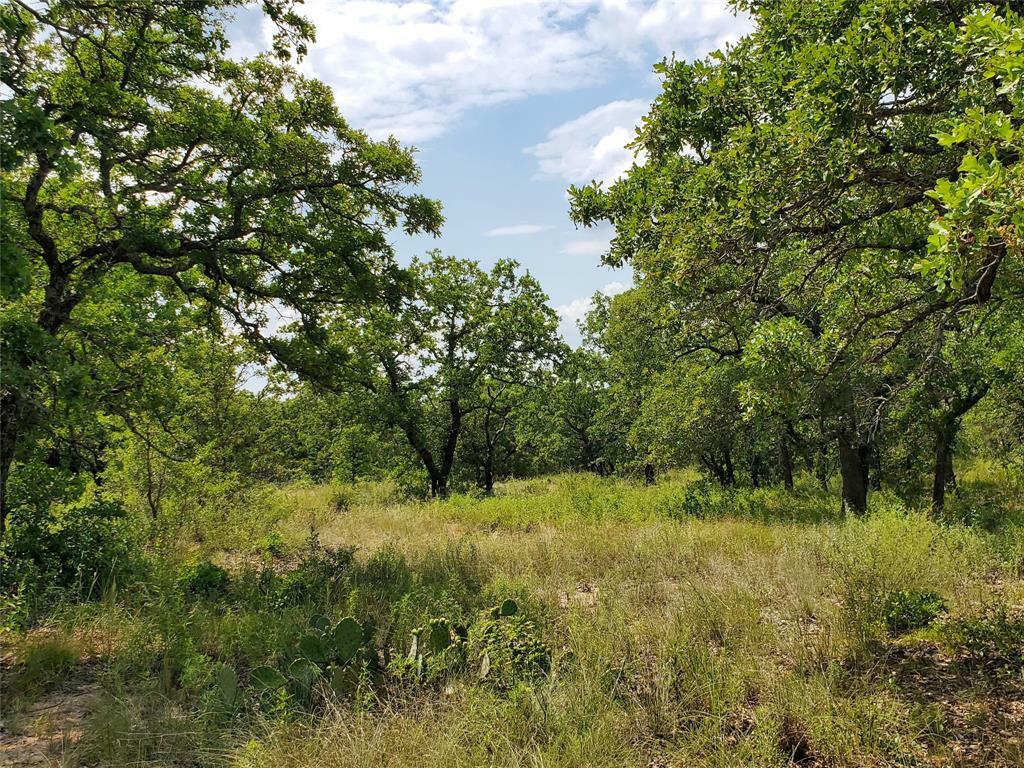 Property Photo:  Tbd County Road 121  TX 76437 