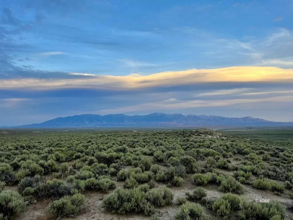 Property Photo:  10 Acres North River Ranch N  NV 89801 