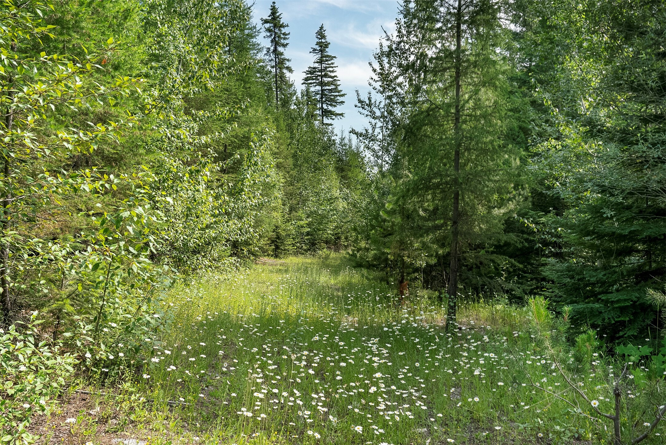 Property Photo:  201 Woodlandstar Circle  MT 59937 