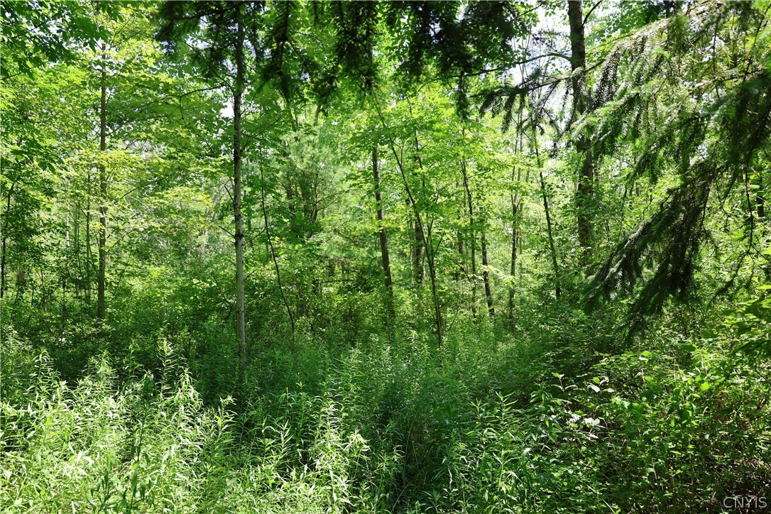 Property Photo:  00 Pine Hill Road  NY 13803 