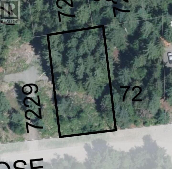 71 Birch Close — photo 1