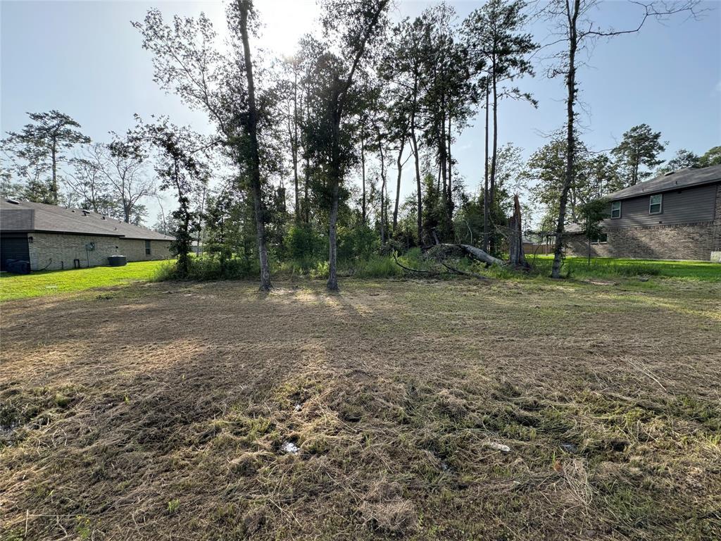 Property Photo: 0 Republic Road TX 77357