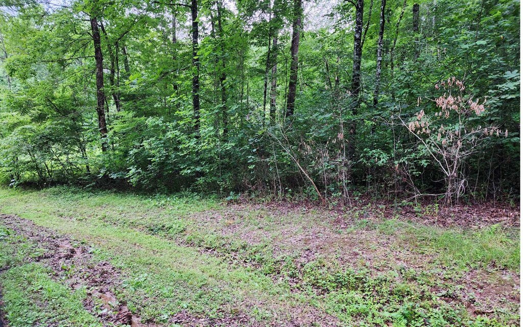 Property Photo:  15 &Amp 16 Lonesome Pine Rd  NC 28906 