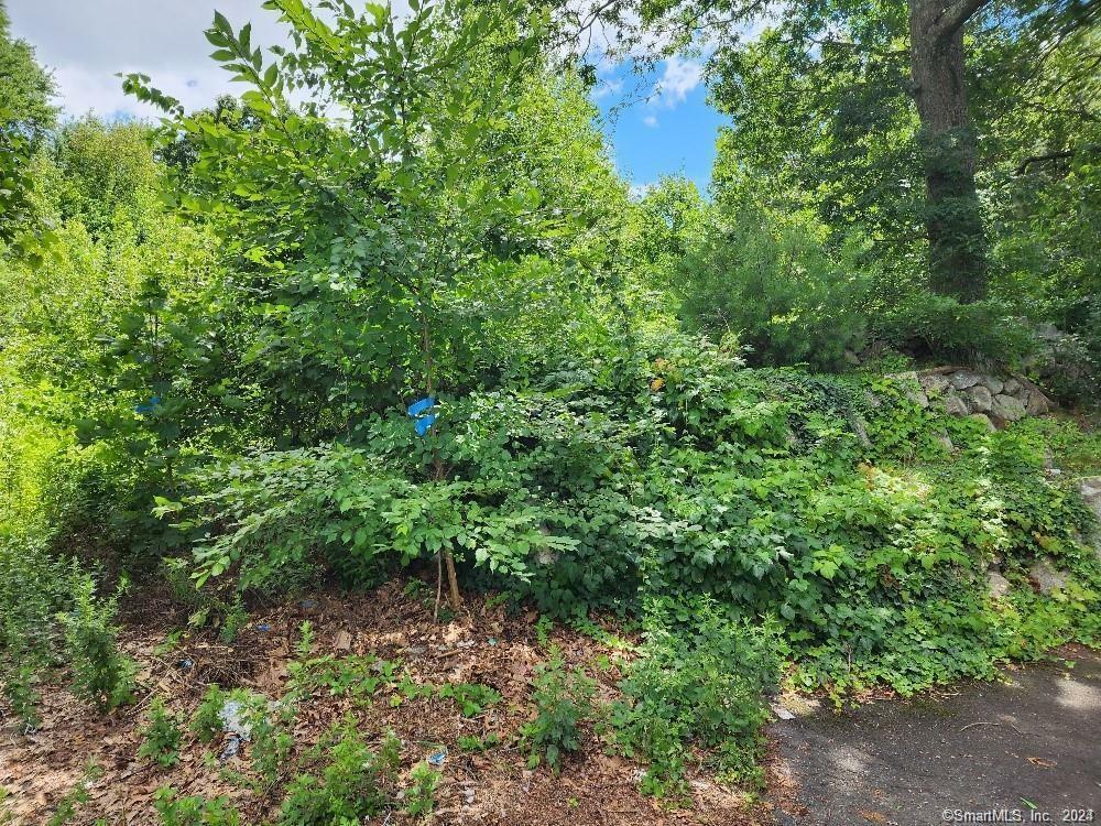 Property Photo:  102 Wadsworth Street  CT 06701 