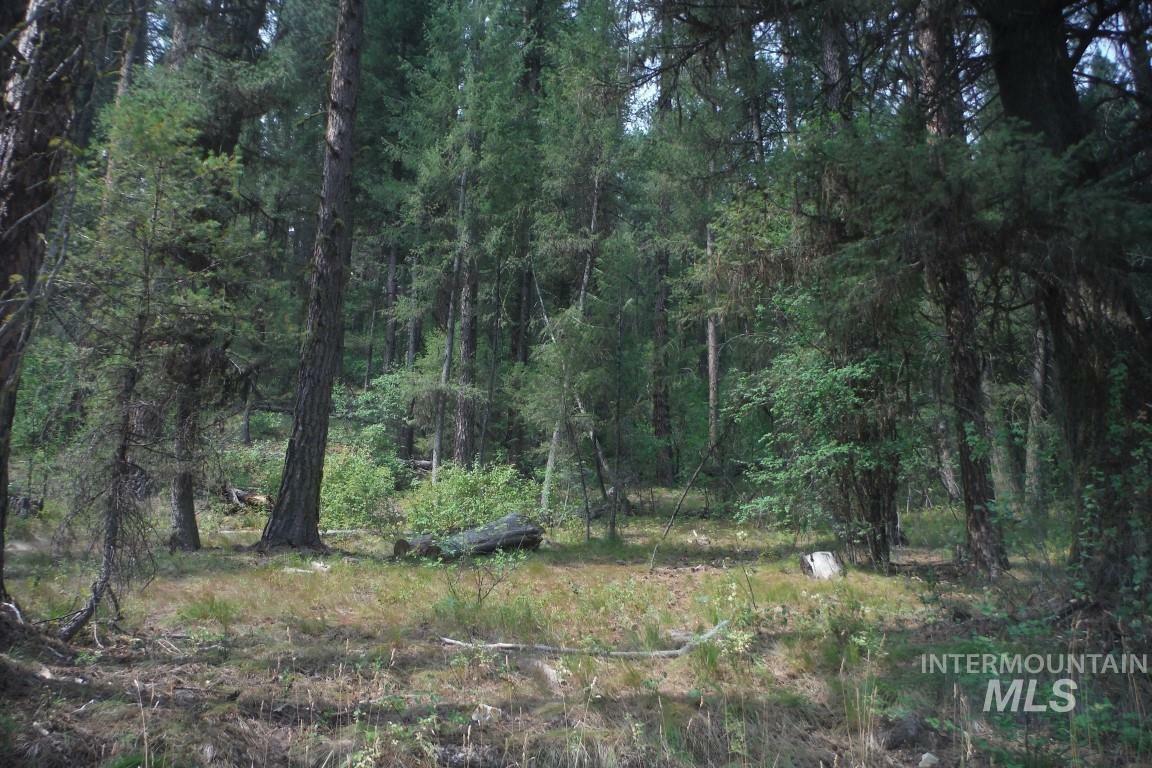 Property Photo:  Lot 79 Clear Creek Estates # 4  ID 83716 