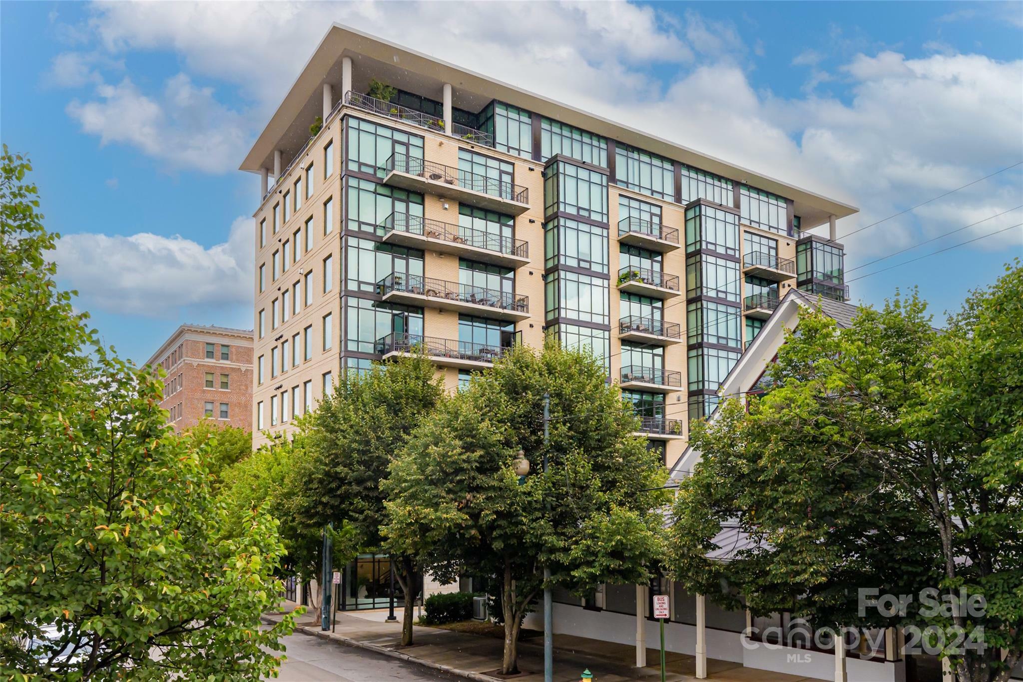 Property Photo:  60 N Market Street 215  NC 28801 