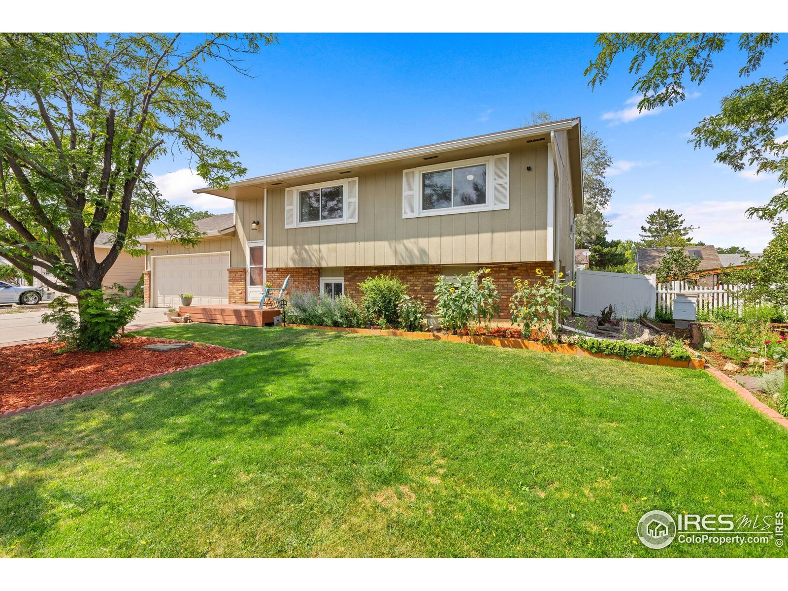 Property Photo:  833 Banyan Ct  CO 80538 