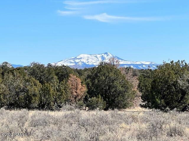 Property Photo:  000 502-31-130B 12 Acres - Mohave Road  AZ 86046 