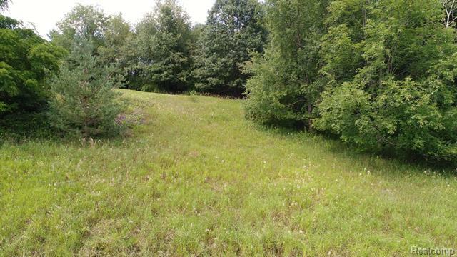 Property Photo:  6.5 Acres Vl Lake Lapeer Drive  MI 48455 