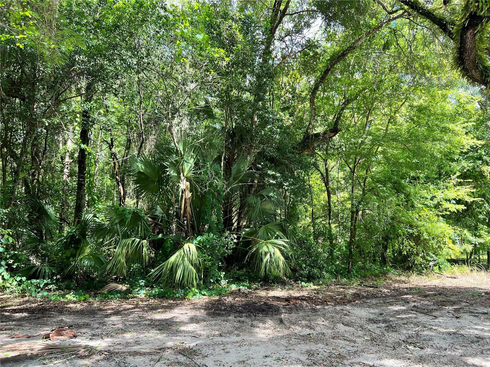Property Photo:  4929 SW 63rd Boulevard  FL 32608 