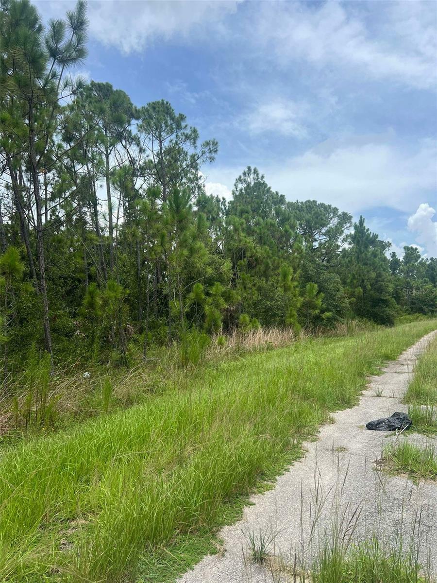 Property Photo:  Bignay Road  FL 34288 