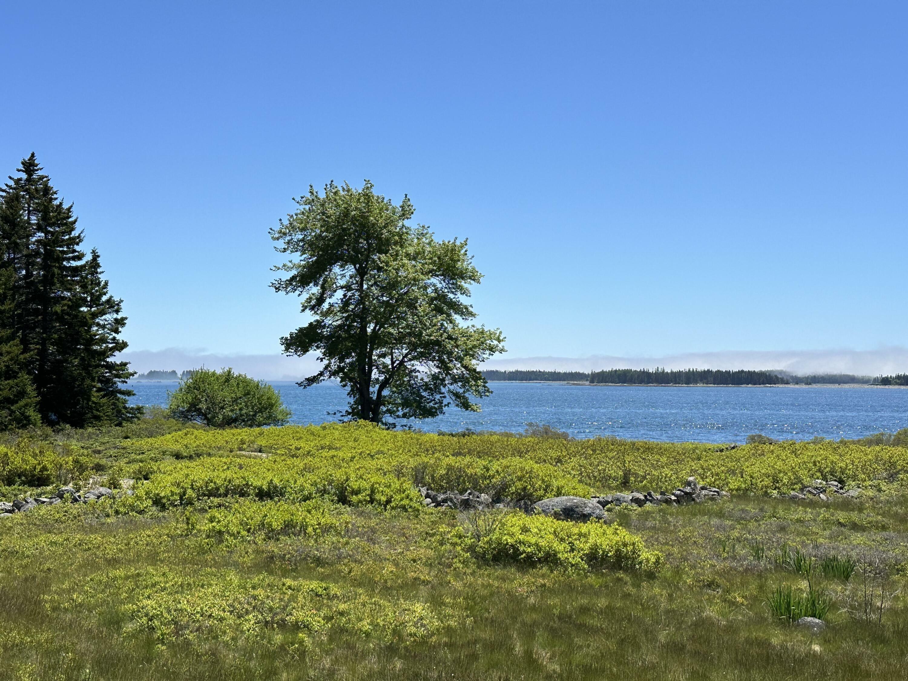 Property Photo:  22 S Sutton Island  ME 04625 