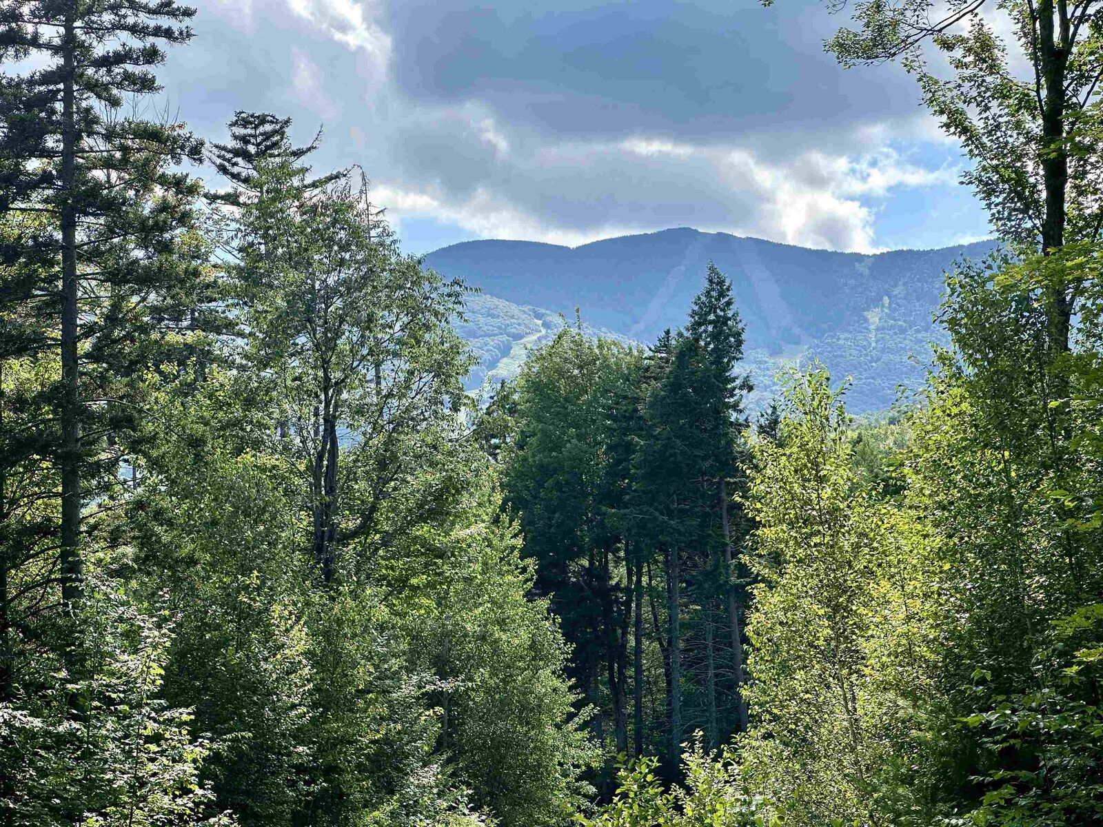 Property Photo: 00 Knolls Road VT 05674