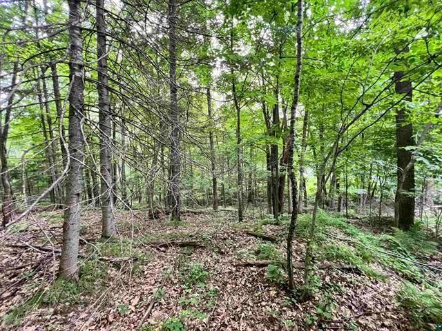 Property Photo:  Xxx Chippewa Tr  WI 54867 