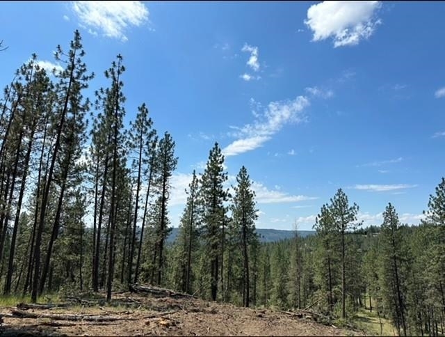 Property Photo:  Nka Weaver Way Lot D  WA 99006 