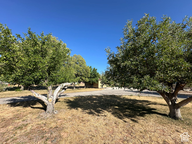 Property Photo:  470 W Mill Rd  UT 84523 