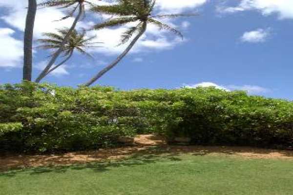 Property Photo:  5000 Aliomanu Road A  HI 96746 