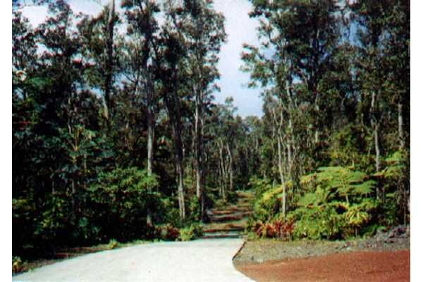 Property Photo:  Kaloko Drive  HI 96740 