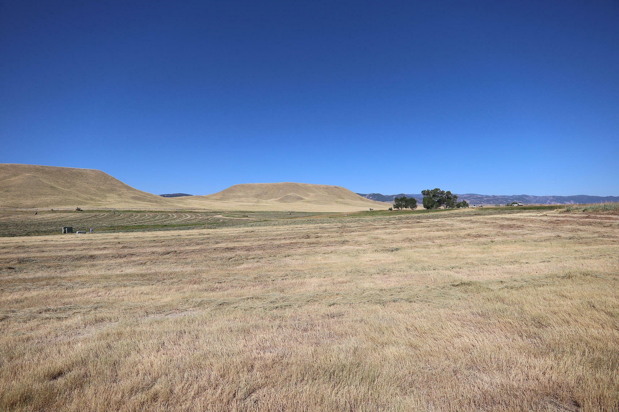 Property Photo:  40 Hopkins Divide Loop  WY 82834 