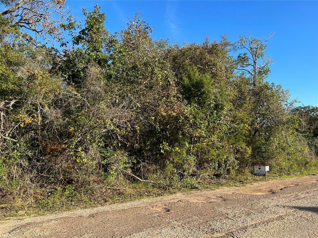 Property Photo:  26686 Callie Drive  TX 77445 