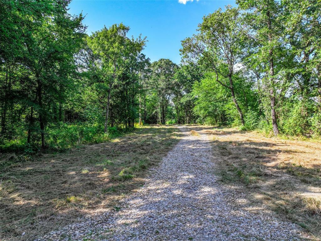 Property Photo:  313 A County Road 1442  TX 75482 